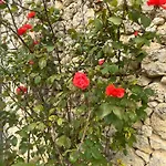 Apartamento Domaine Lagarriere