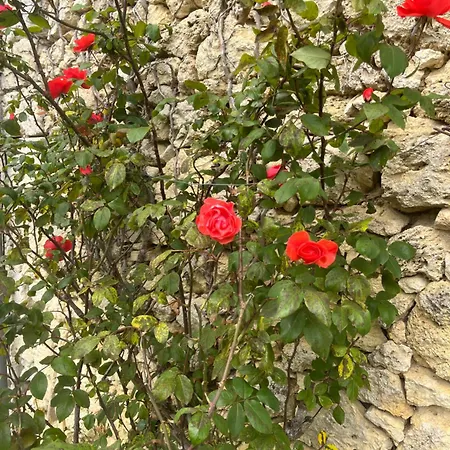 Διαμέρισμα Domaine Lagarriere
